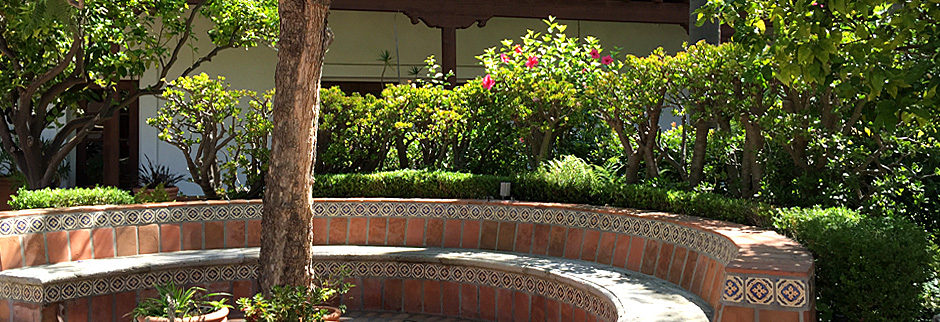 Balance Health & Welness Events